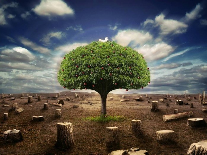 save the trees