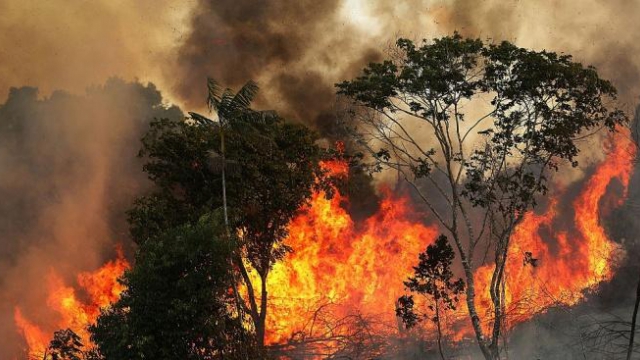 forest fire in Amazonia