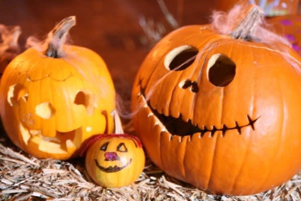How to properly recycle a lot of waste after Halloween! A few tips!